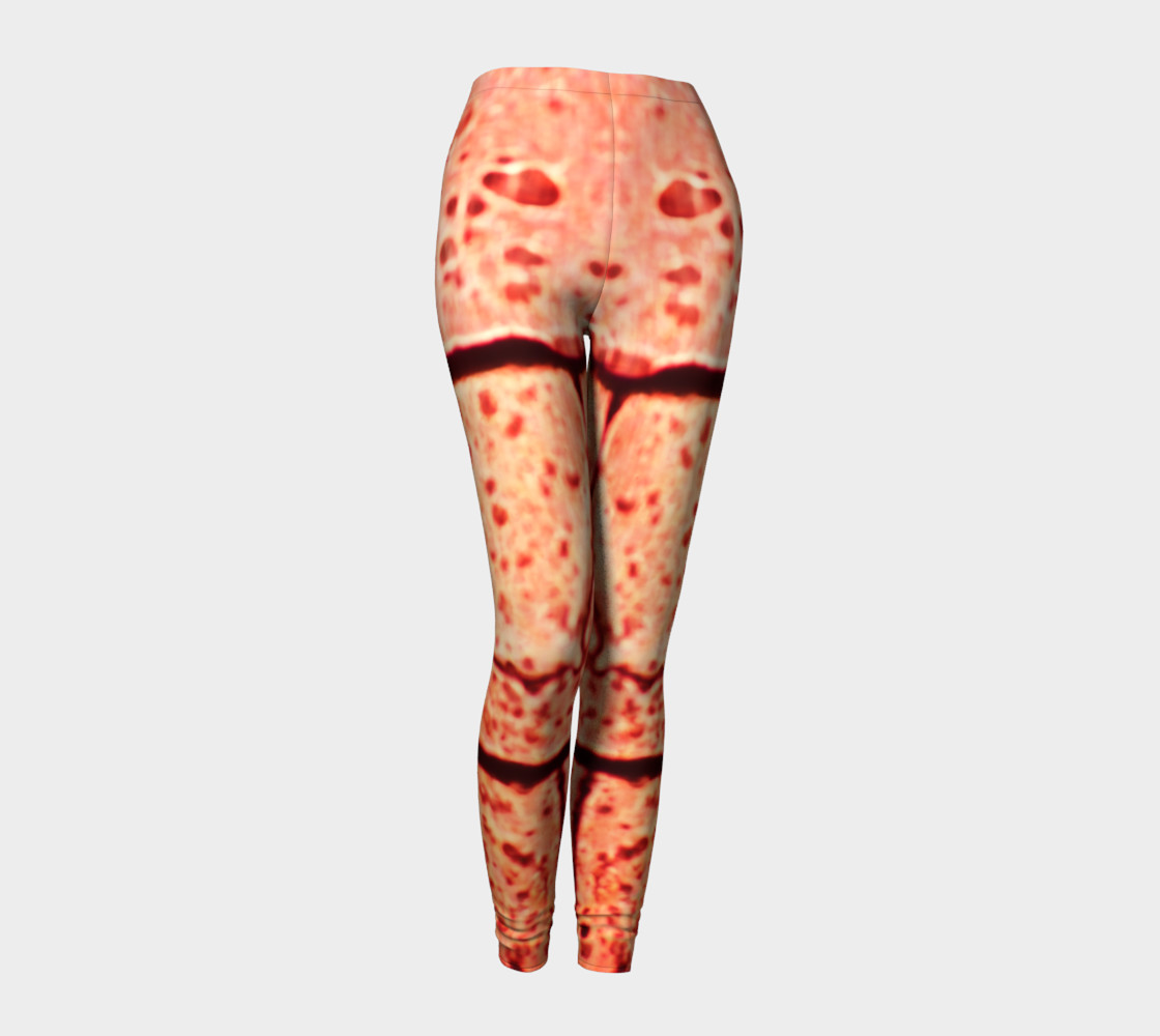 leggins_crystal_30 preview #1