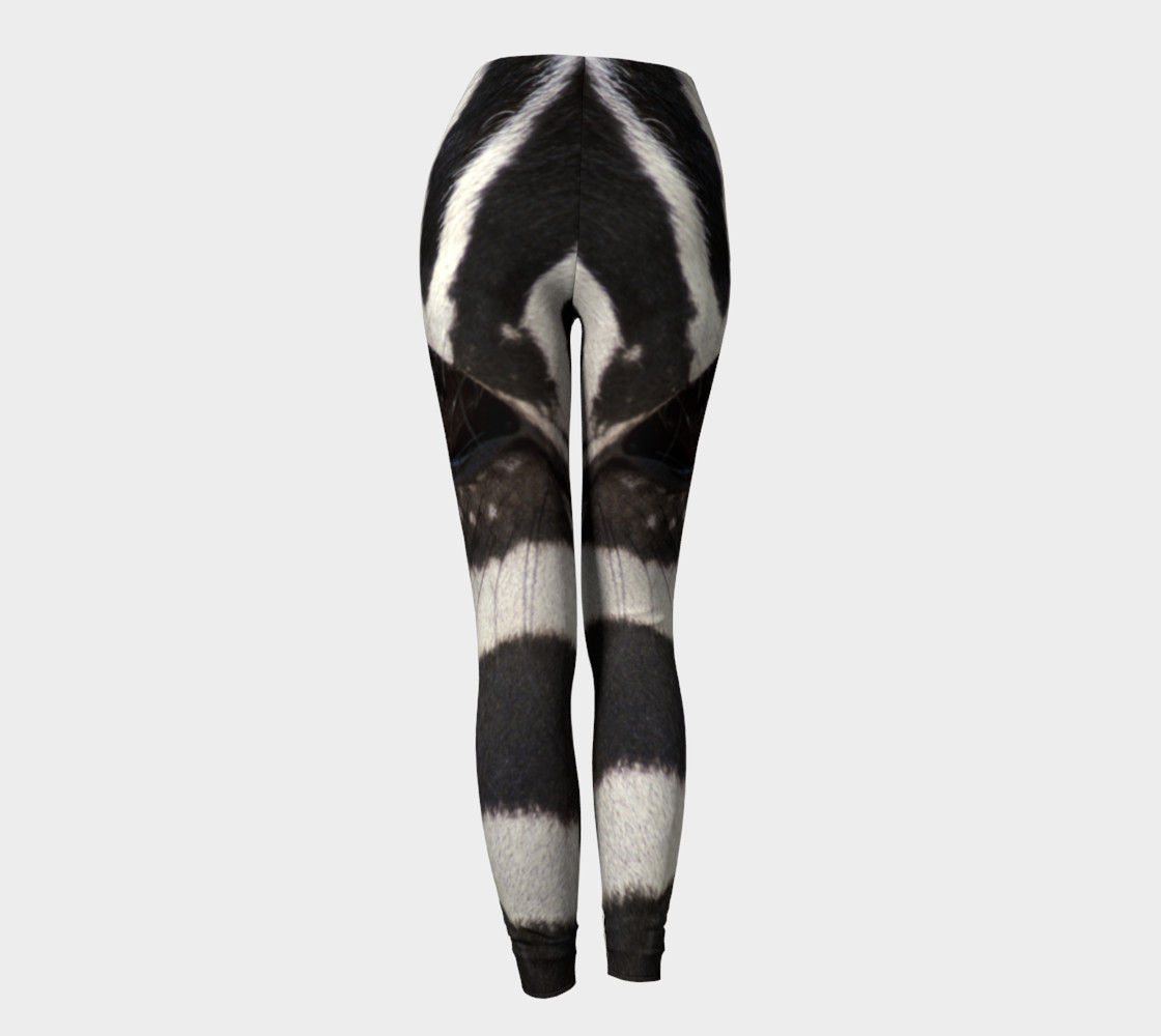 Zebra preview #4