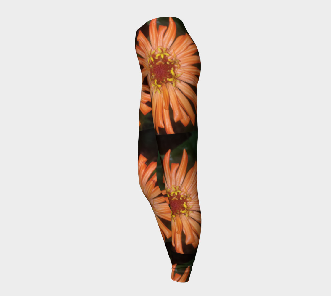 Orange Zinnia preview #3