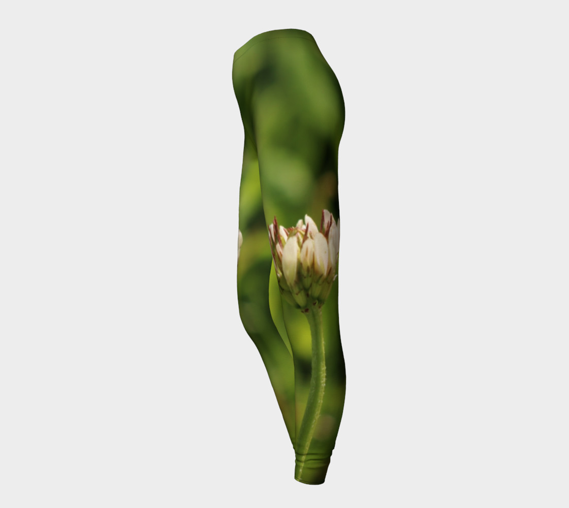Koroua preview #3