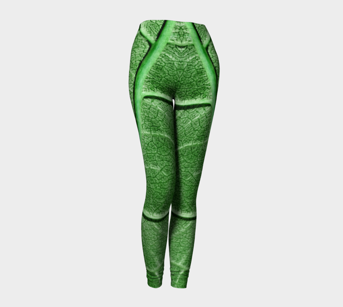 Veined Green Leaf preview #1