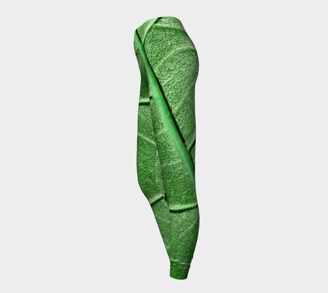 Veined Green Leaf preview #3