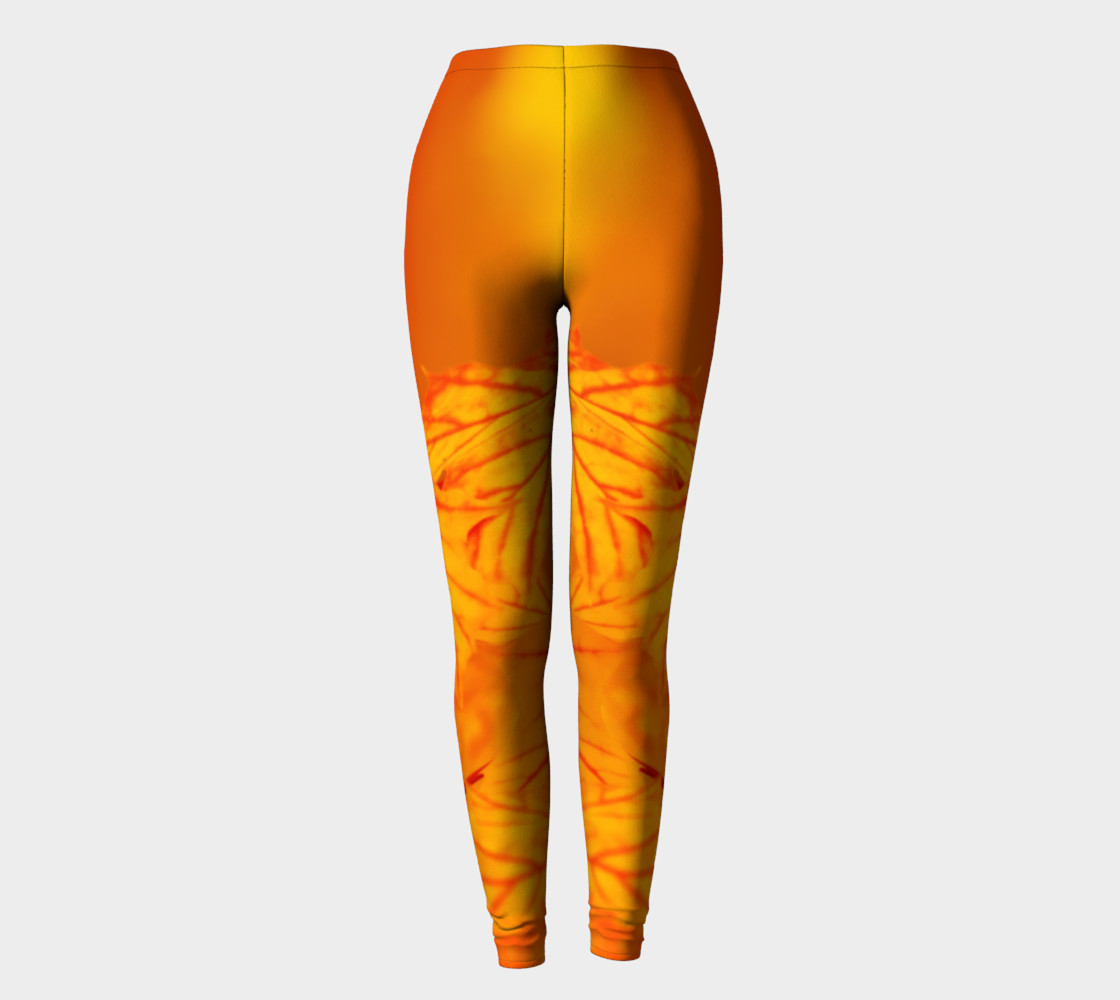 orange fall maple leaves preview #2