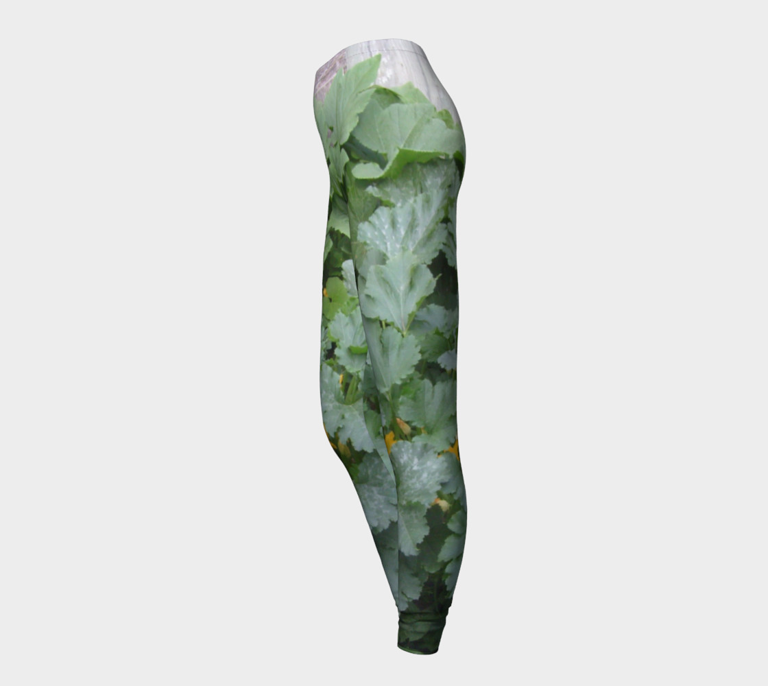 Zucchini Growing preview #3