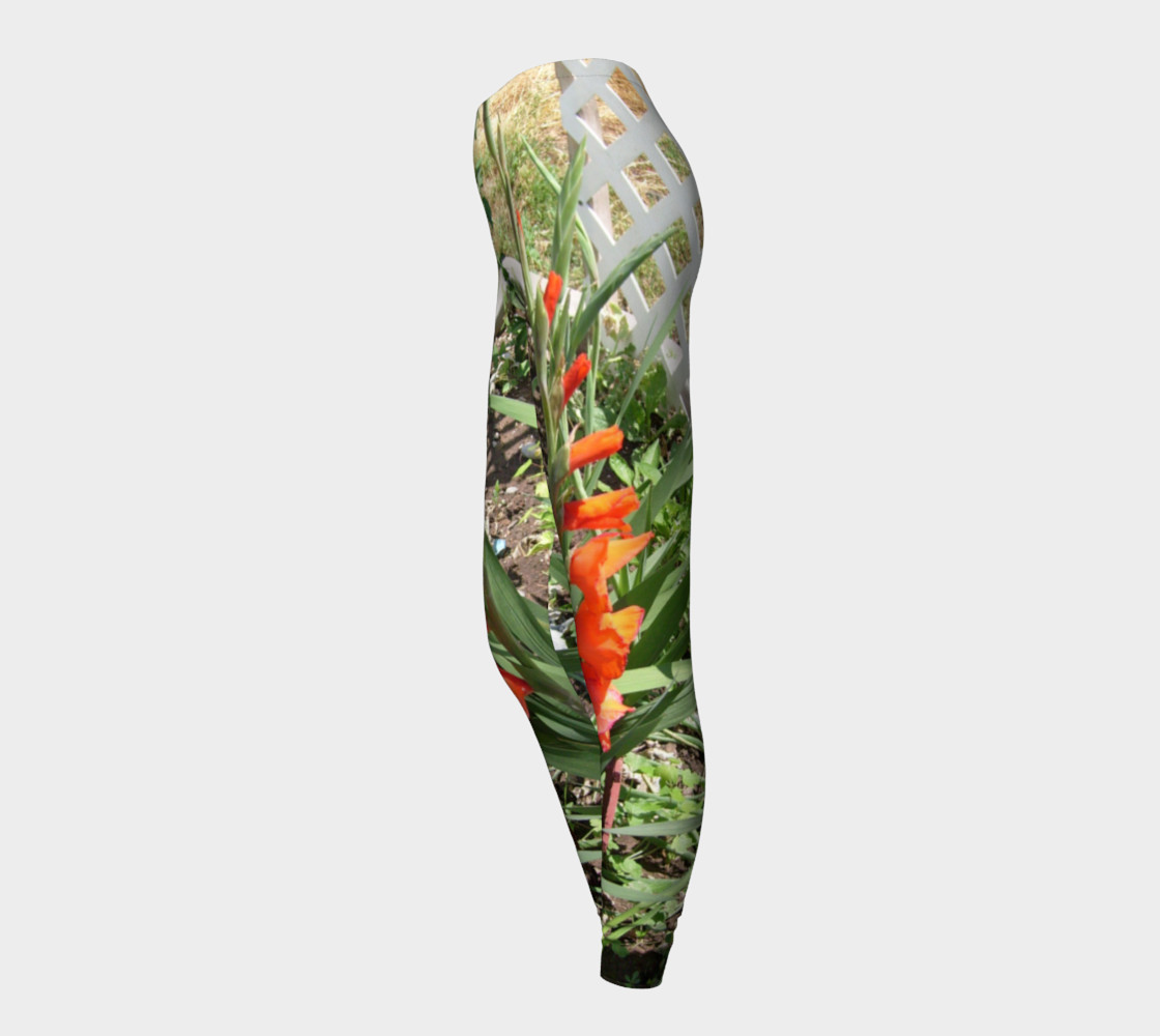 Orange Gladiolus preview #3