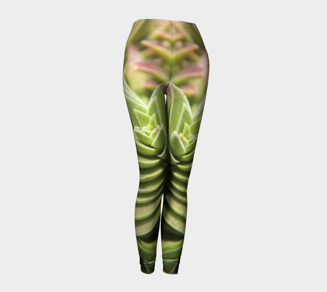138_4_leggings preview #1