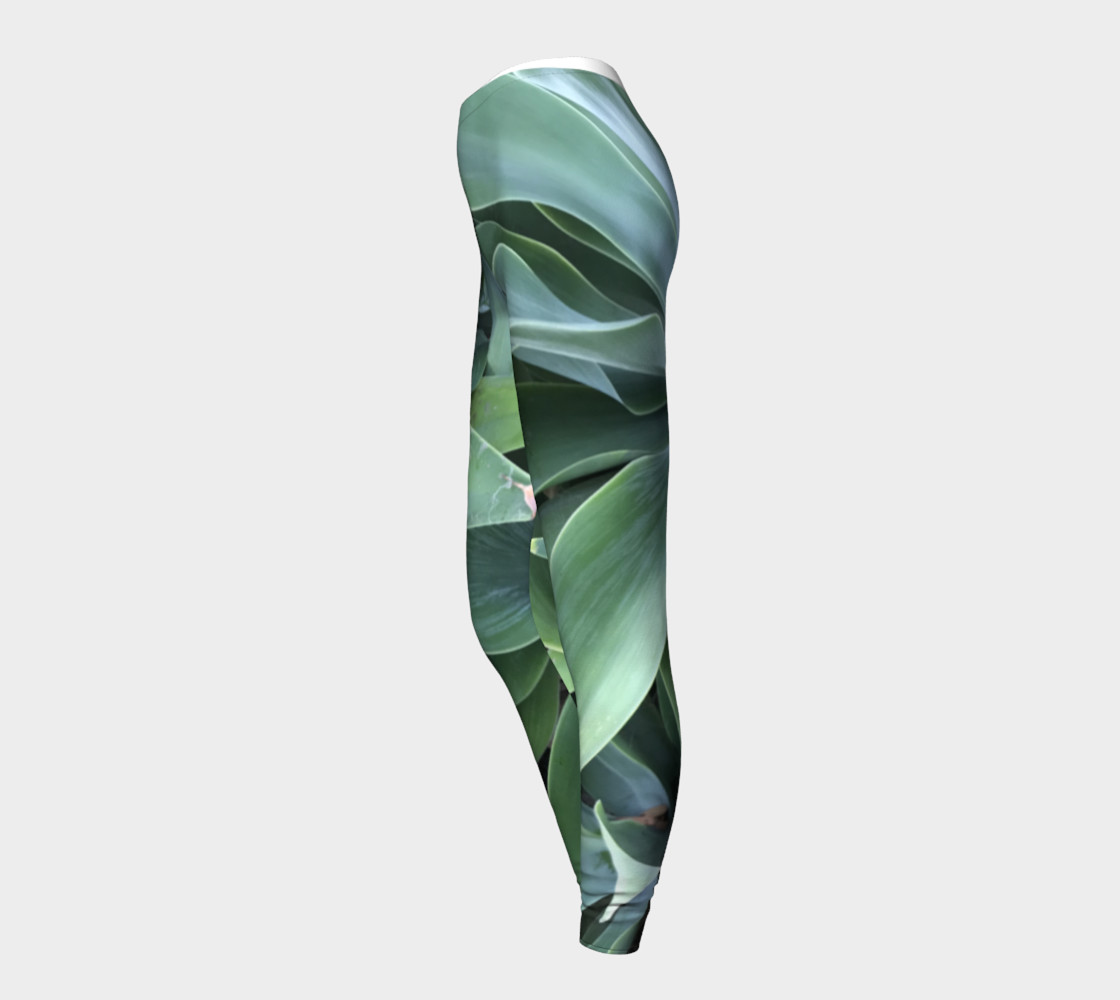 Green Agave preview #3