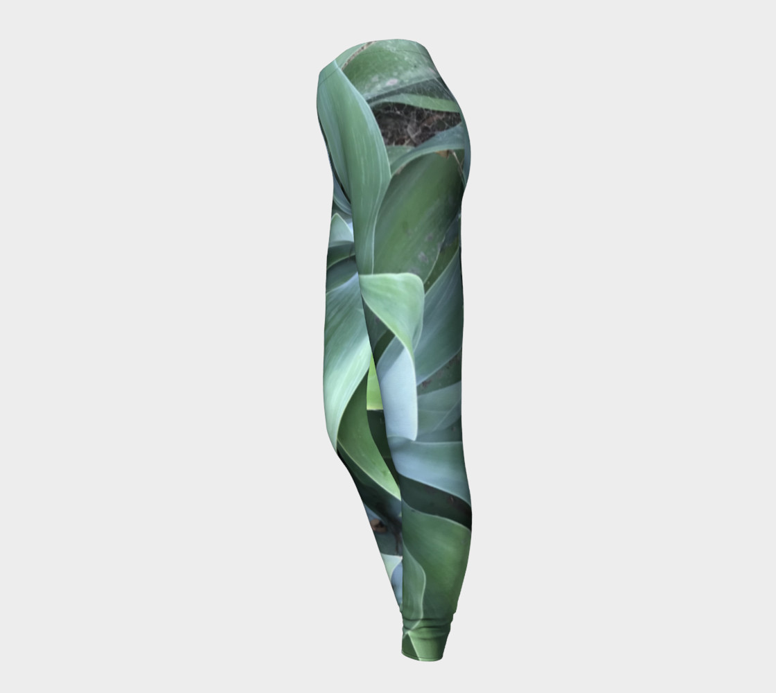 Agave Verxde preview #3
