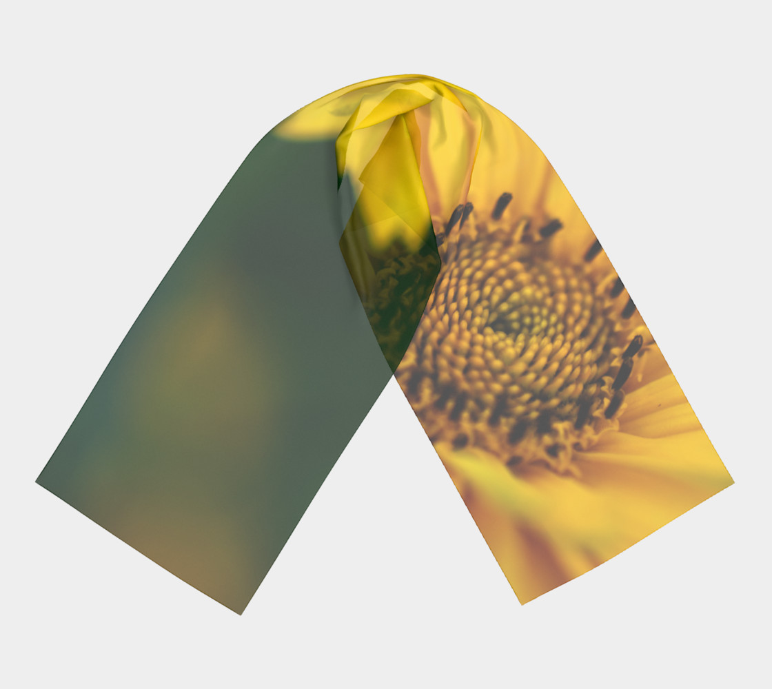 Daisy Flower Bright preview #3