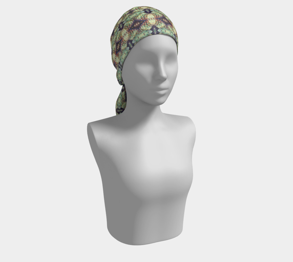 Arizona Lizard preview #2