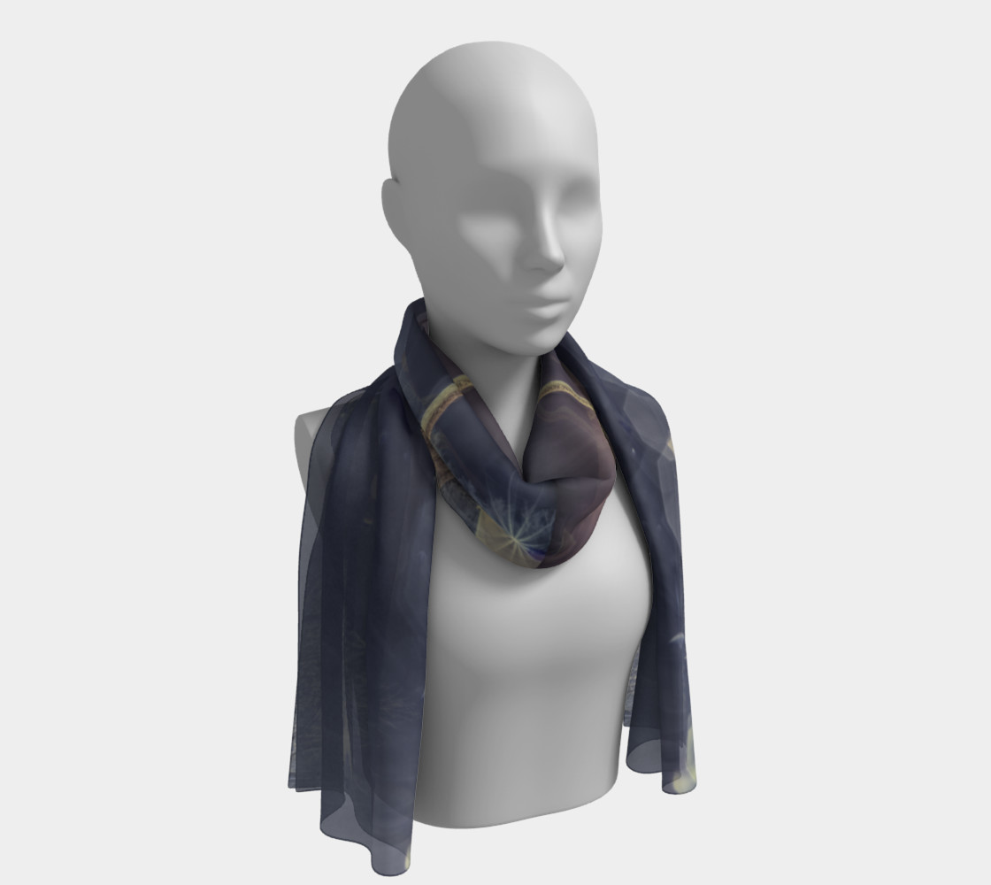 Sommet Edelweiss hiver 2013 preview #1