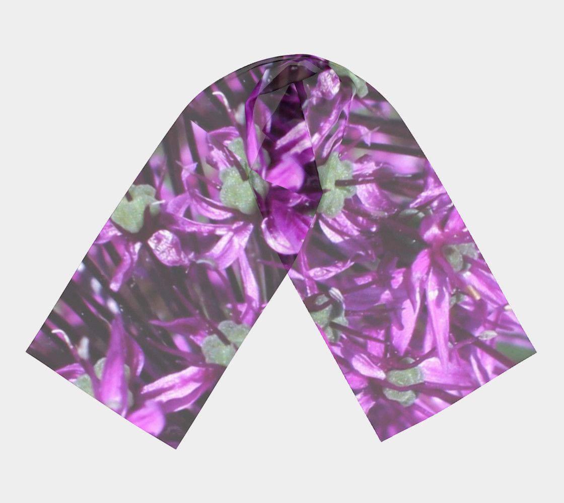 Purple Allium  thumbnail #4