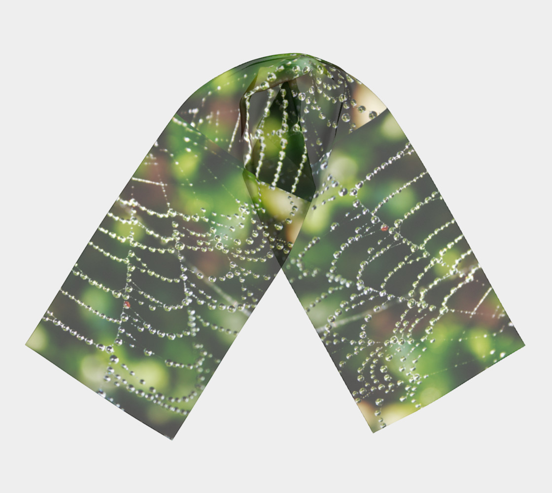 Walking in a Spider Web preview #3