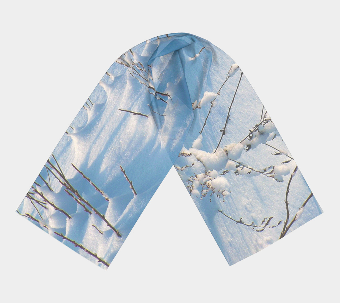 Branches in the snow preview #3