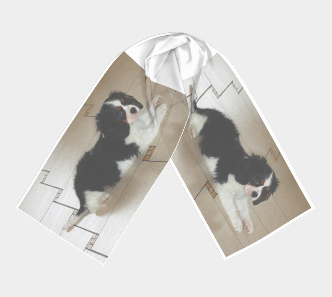 Cavalier King Charles Spaniel Tri Puppy Laying preview #3