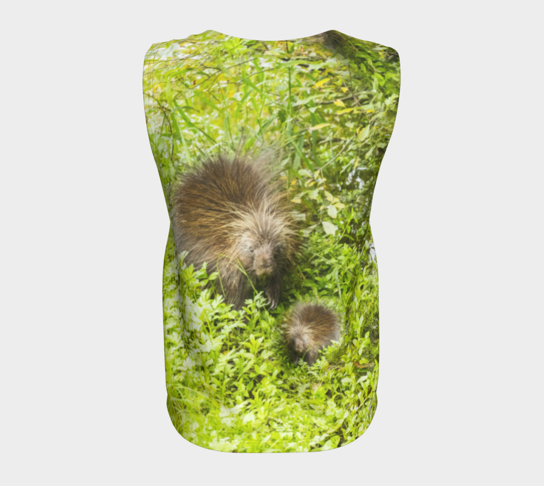 Porcupine preview #6