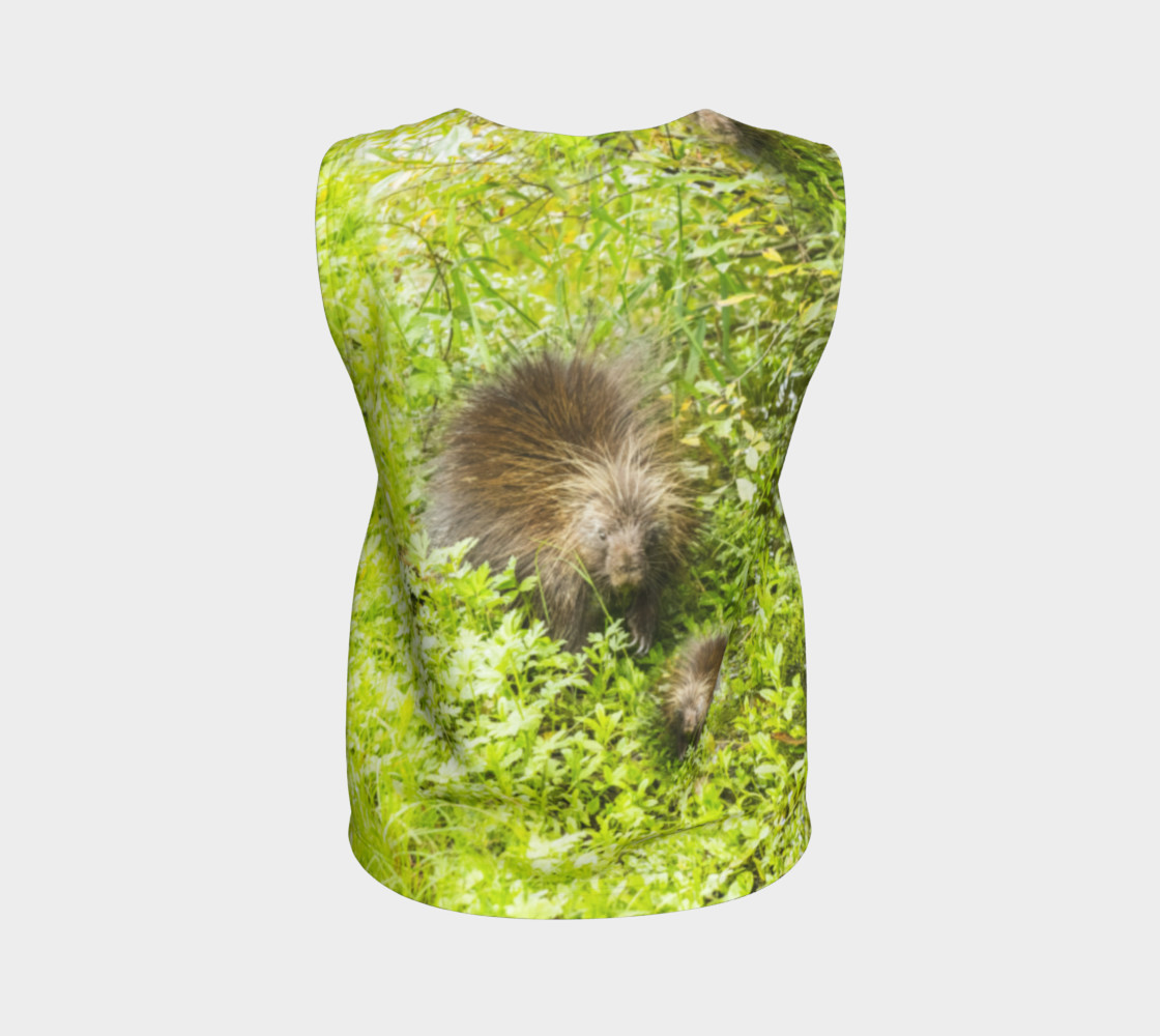 Porcupine preview #2
