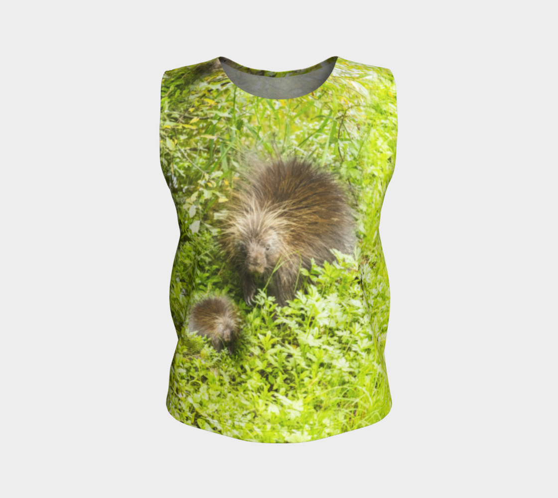 Porcupine preview #1