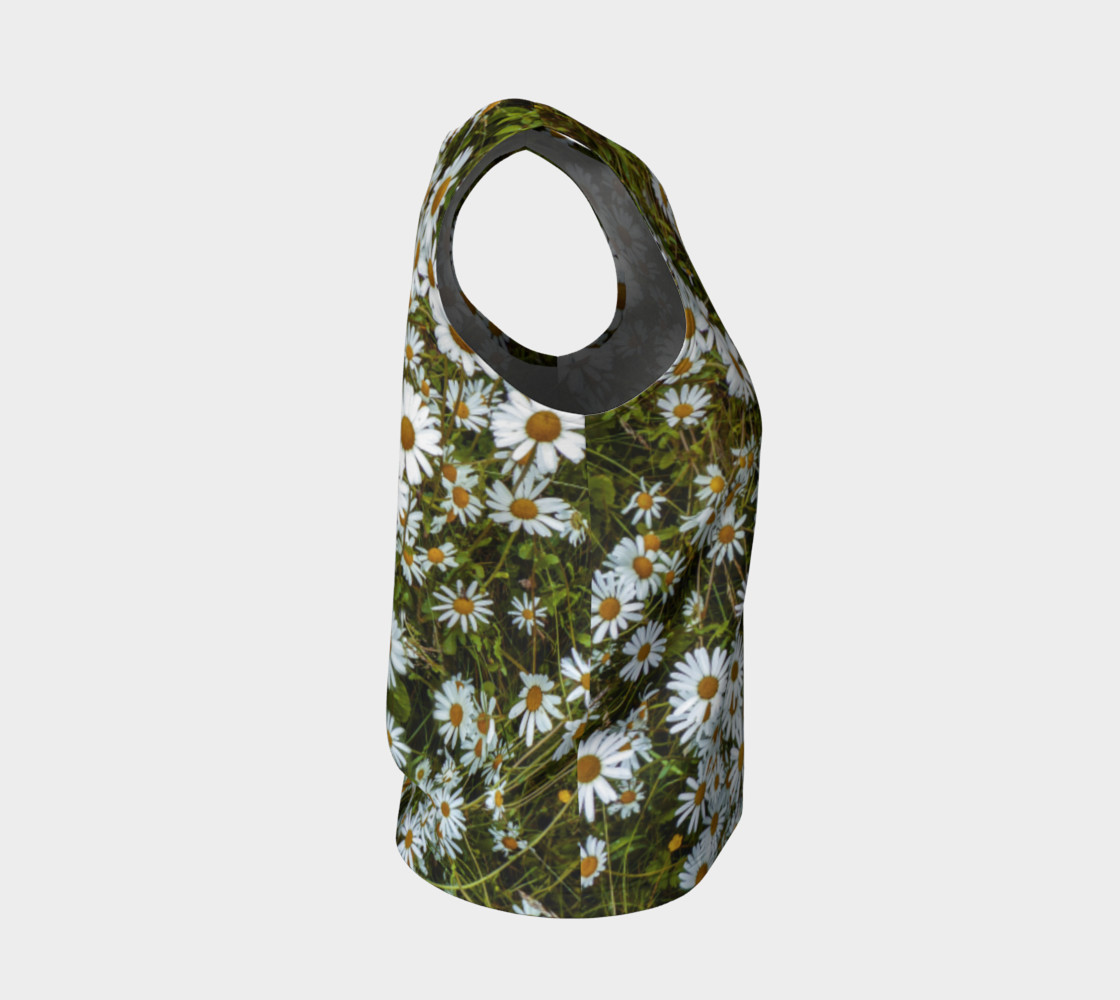 Daisy Field preview #4