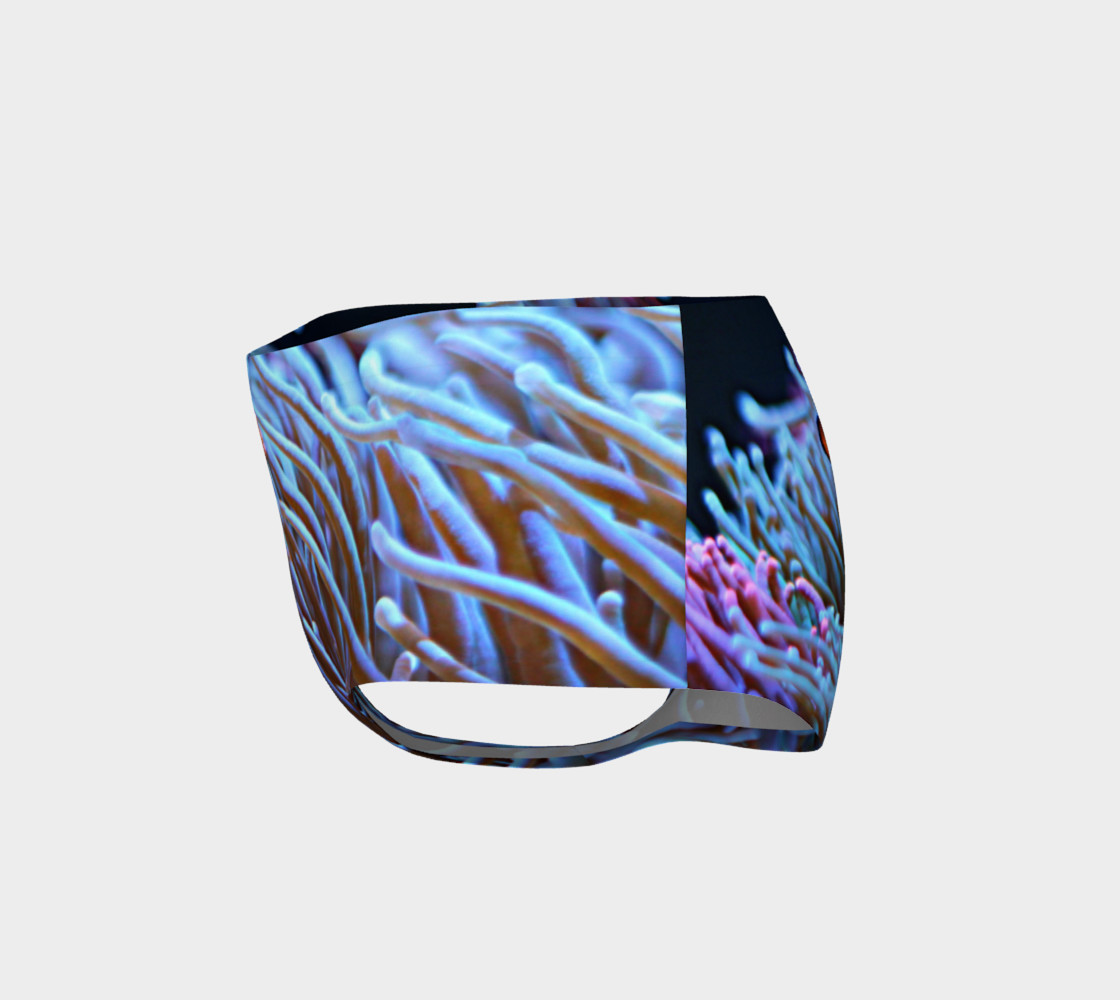 Clownfish Booty preview #3