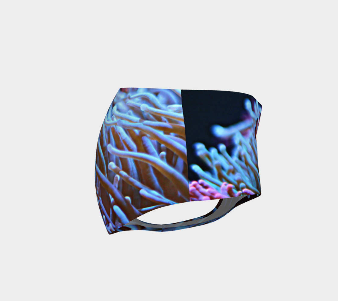 Clownfish Booty preview #4