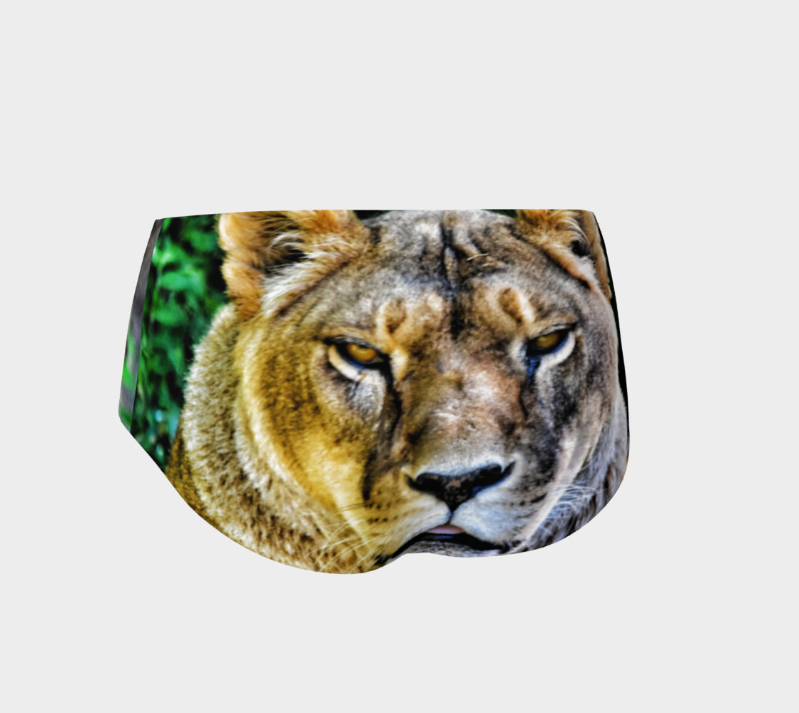 Lioness preview #2