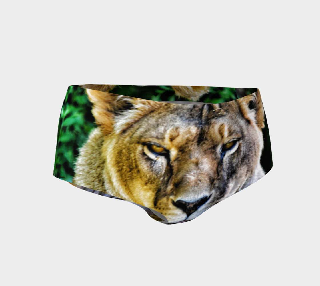 Lioness preview #1