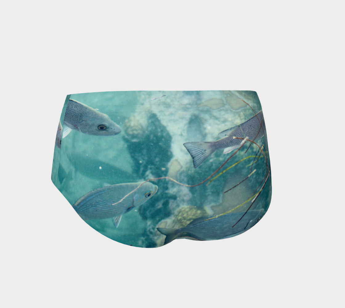 Reef Fish preview #2