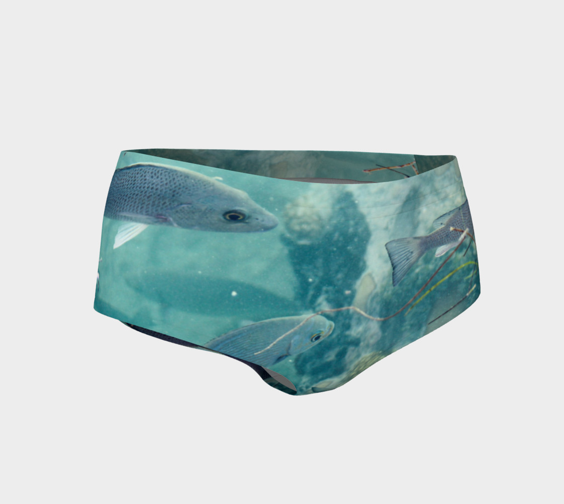 Reef Fish preview #1