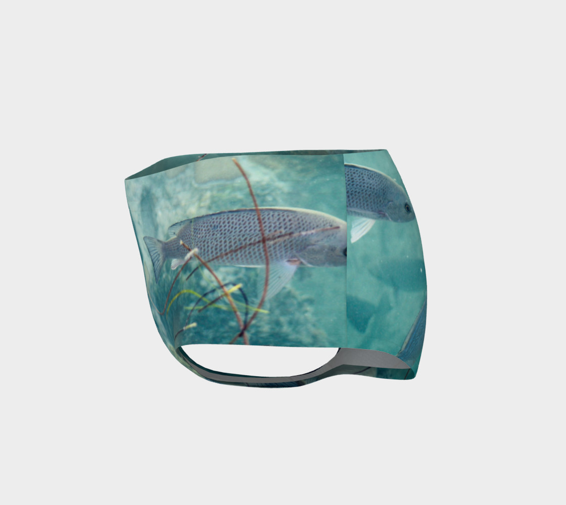 Reef Fish preview #3