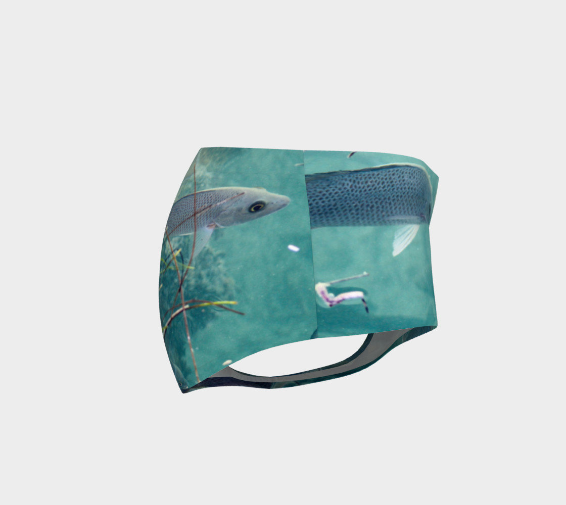 Reef Fish preview #4