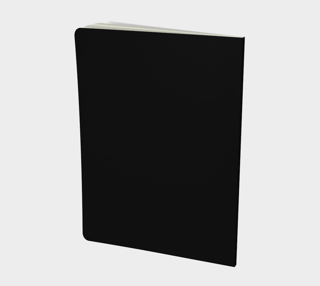 Aperçu de Iris notebook #2