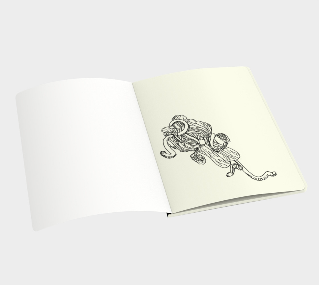Aperçu de Iris notebook #3