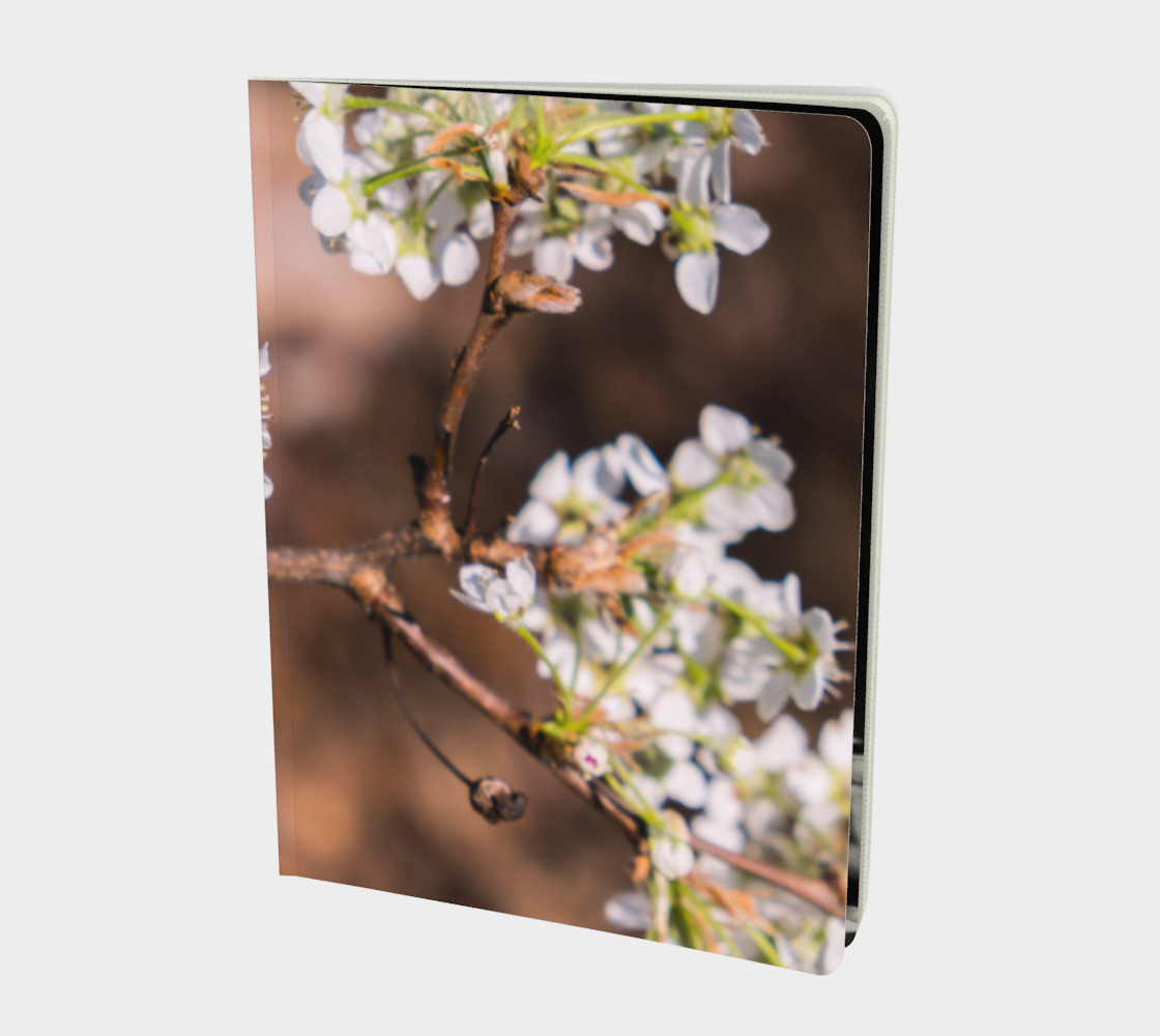 Springtime preview #1