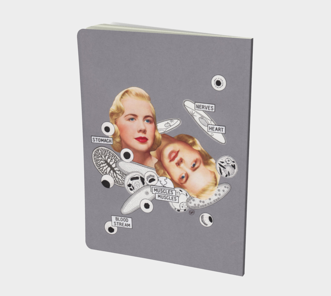Self Observable Universe Note Book preview #2