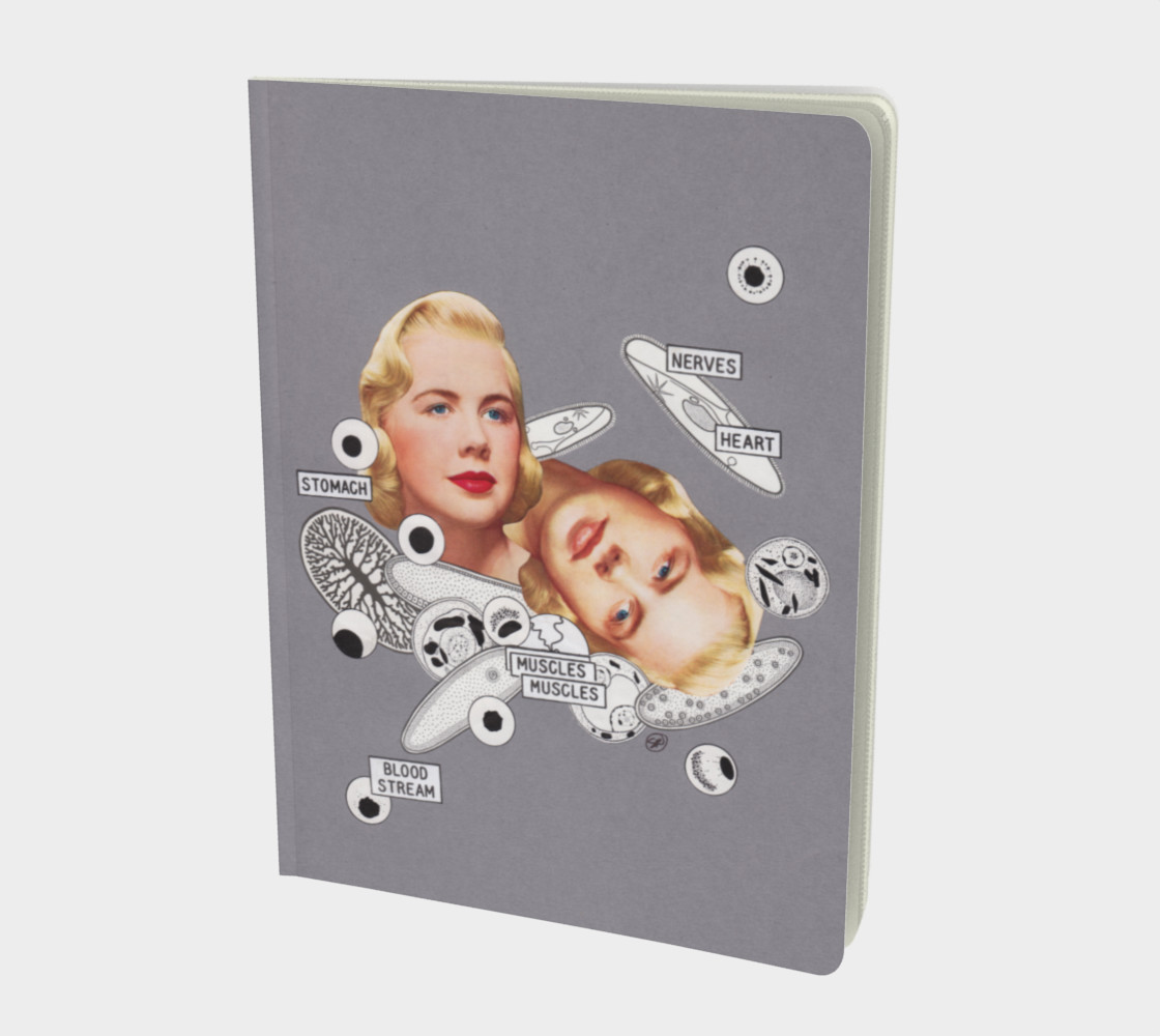 Self Observable Universe Note Book preview #1