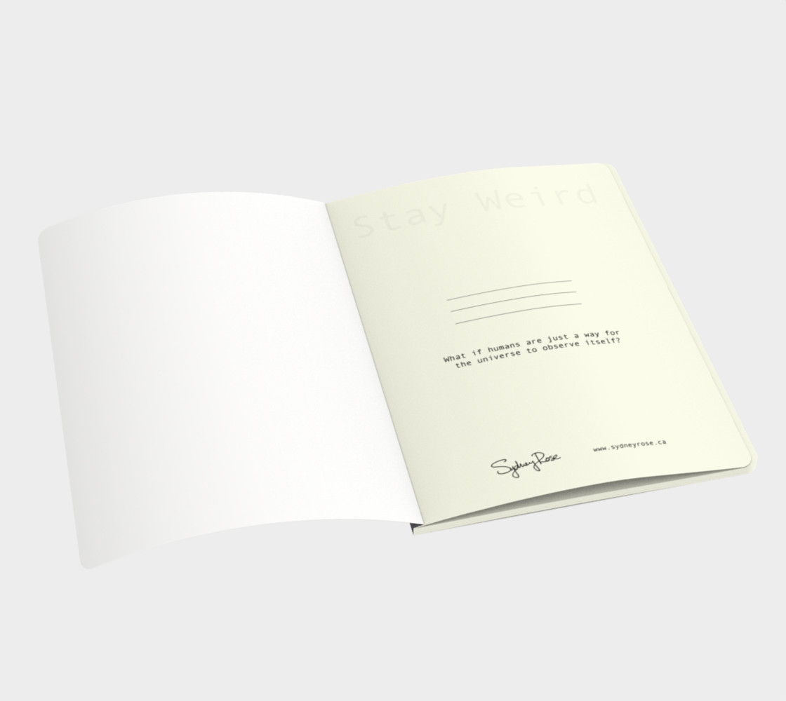 Self Observable Universe Note Book preview #3
