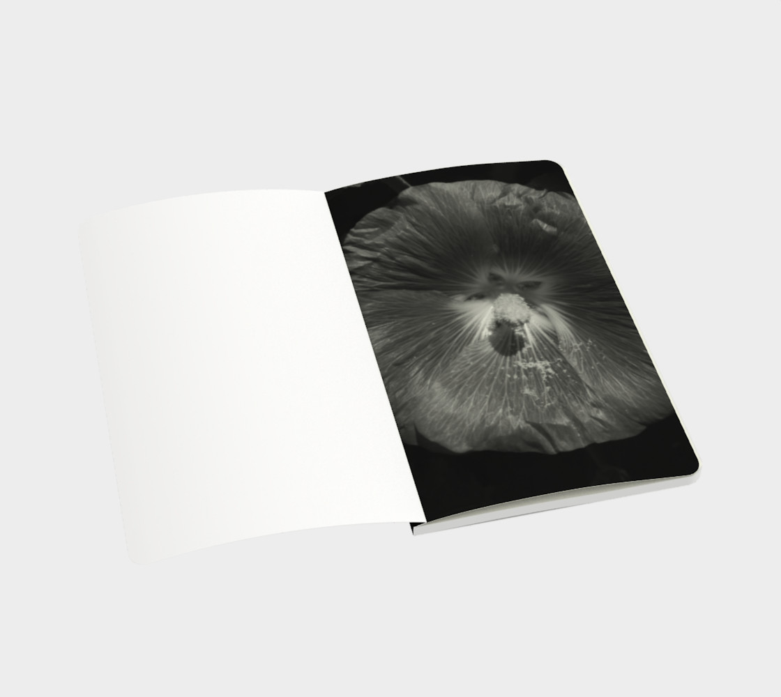 Hollyhock preview #3