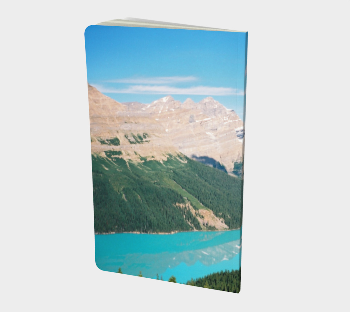 Bear Lake/Peyto Lake Alberta Canada preview #2