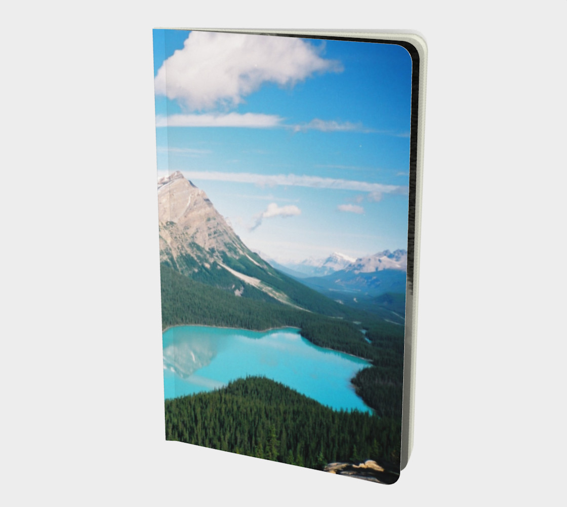 Bear Lake/Peyto Lake Alberta Canada preview #1