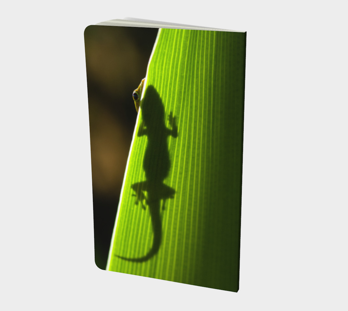 Aperçu de Coucou lézard / Peekaboo Lizard #2