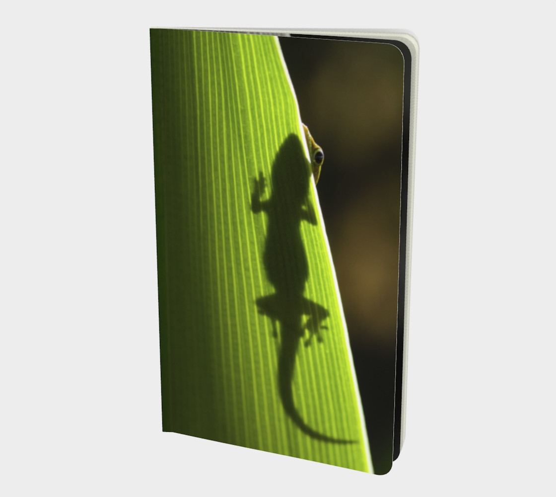 Aperçu de Coucou lézard / Peekaboo Lizard #1