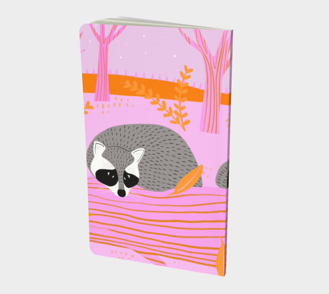 Spirit Animal - Raccoon preview #2