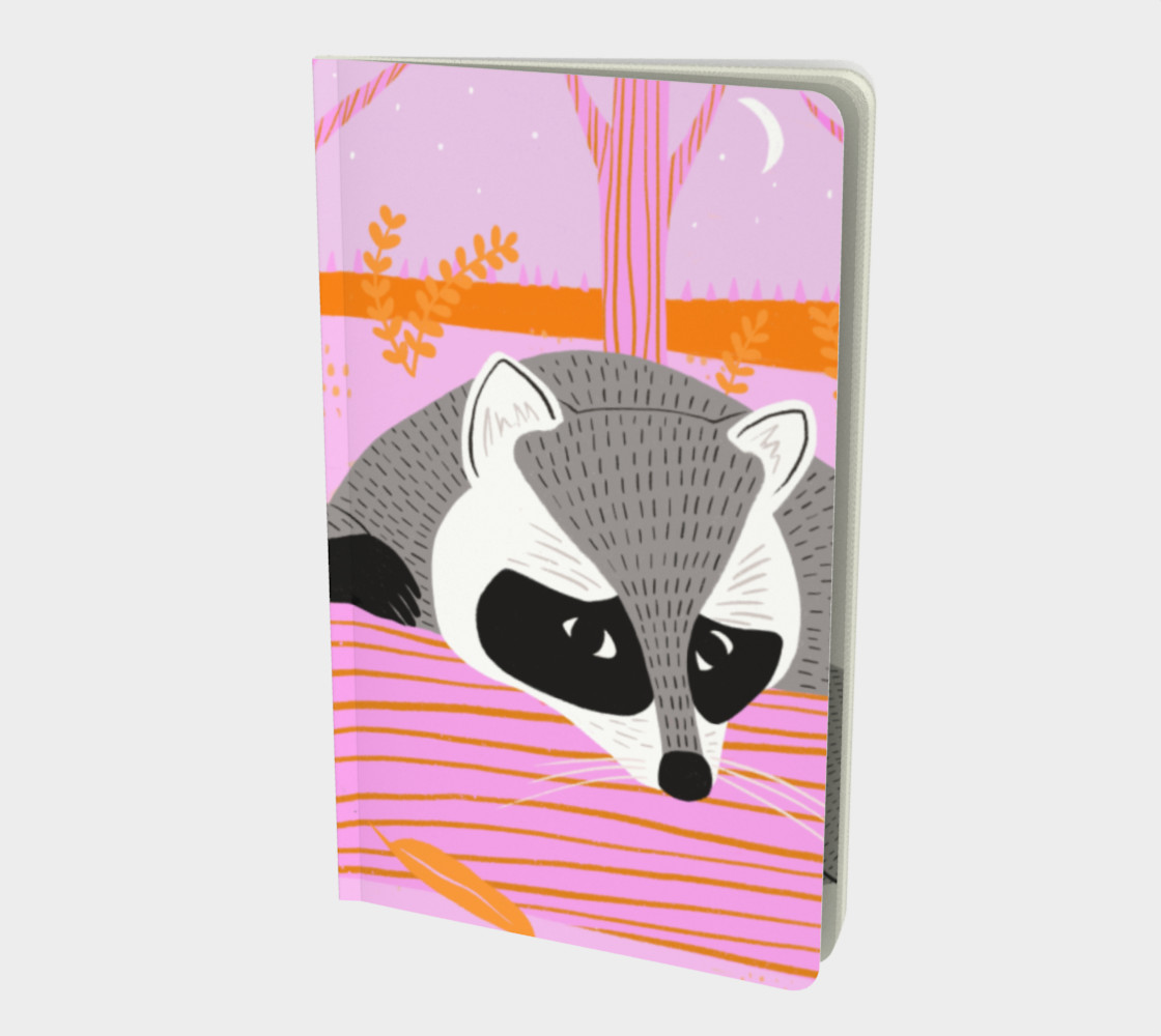 Spirit Animal - Raccoon preview #1