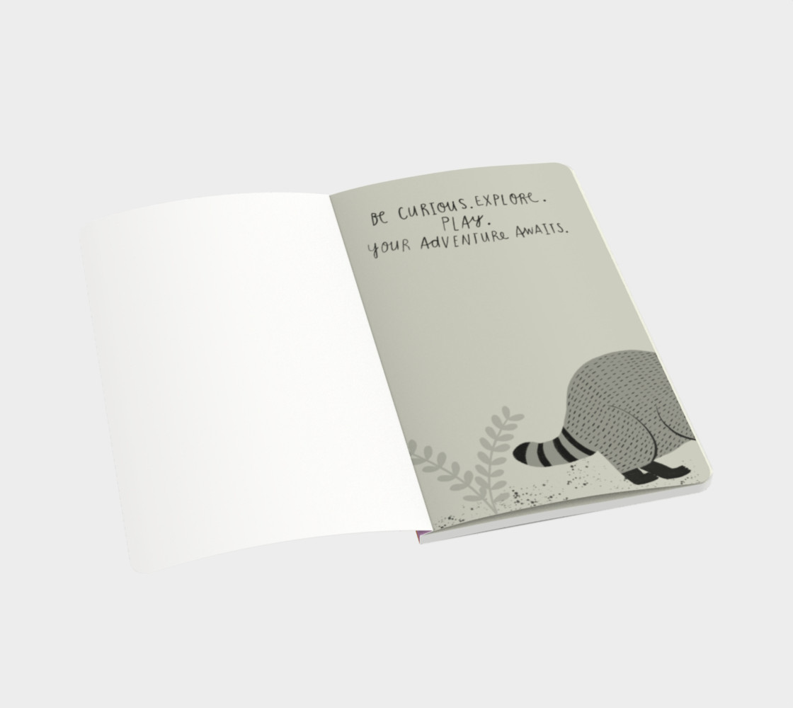 Spirit Animal - Raccoon preview #3