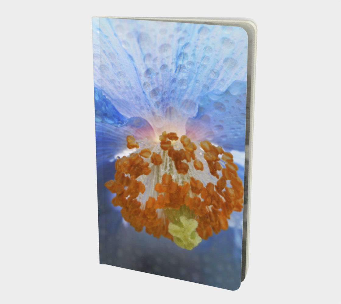 Aperçu de Pavot bleu - Blue Poppy #1
