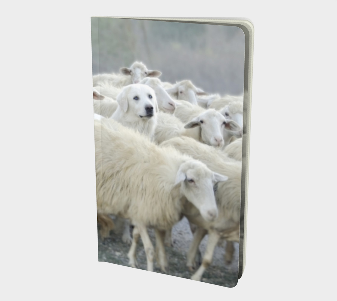 Aperçu de Vive la différence ! Chien & moutons / Dare to be Different! Sheep & Dog #1