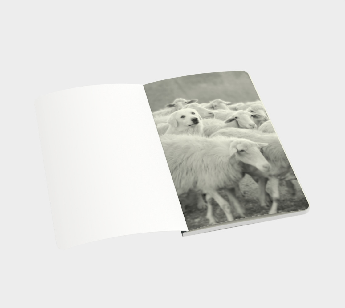 Aperçu de Vive la différence ! Chien & moutons / Dare to be Different! Sheep & Dog #3