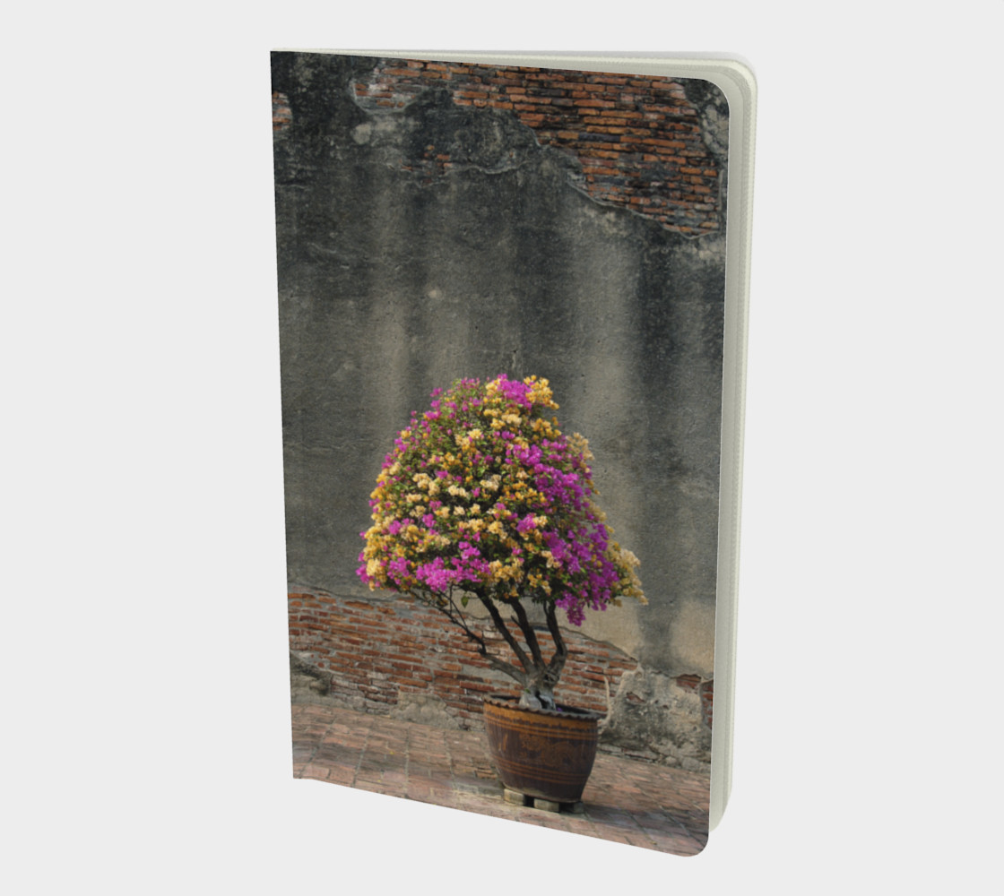 Aperçu de Bougainvillier / Bougainvillea #1