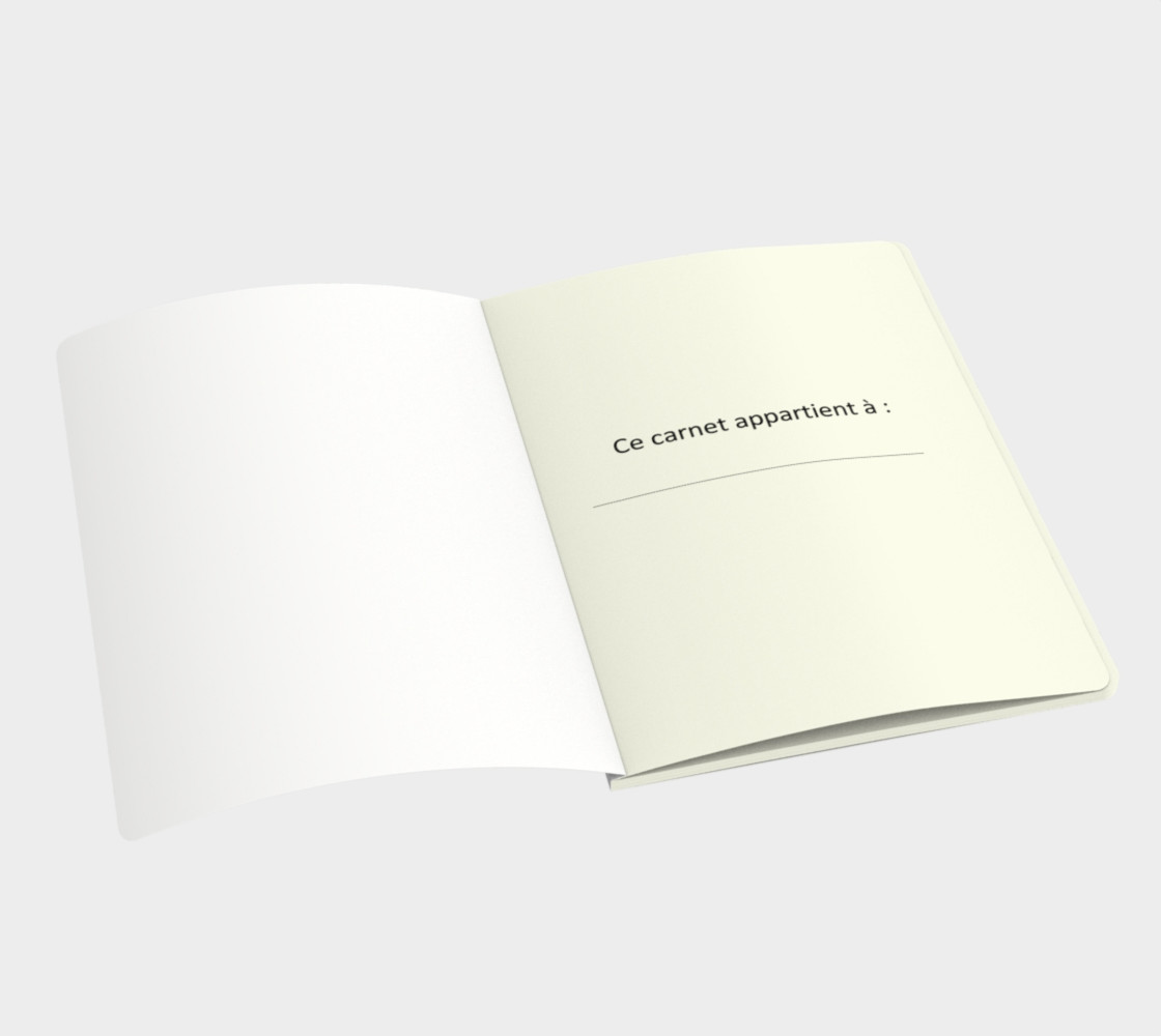 Carnet 2 - Aurore preview #3